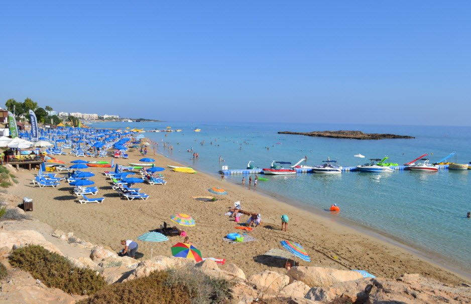 Fig Tree, Paralimni, Cyprus, Cyprus